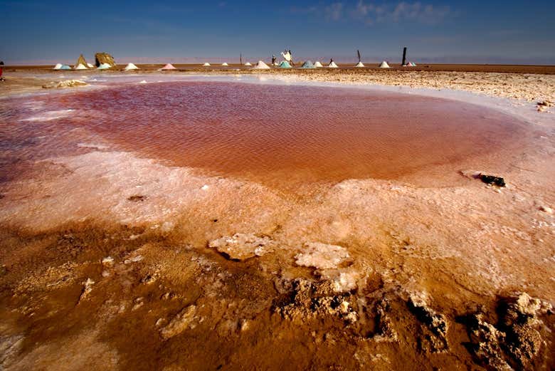 Lago de Chott Djerid