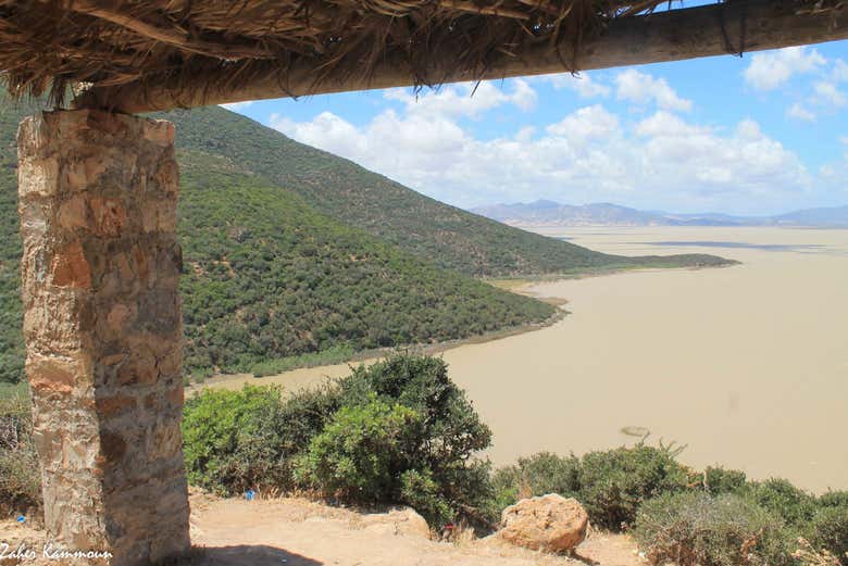 El Parque Nacional de Ichkeul, un paraíso natural
