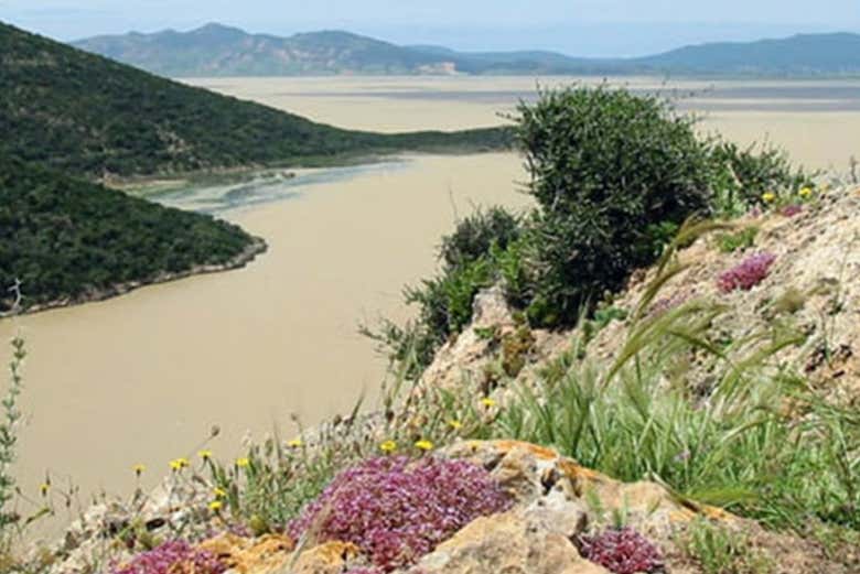 Il paesaggio di Ichkeul