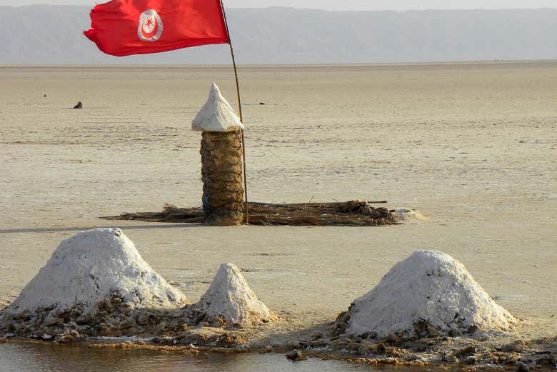 Lago salado de Chott el Djerid