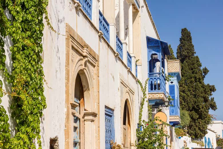 Visit the village of Sidi Bou Said