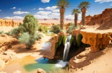 Oasis de Chebika