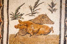 Tunis Medina & Bardo Museum Guided Tour