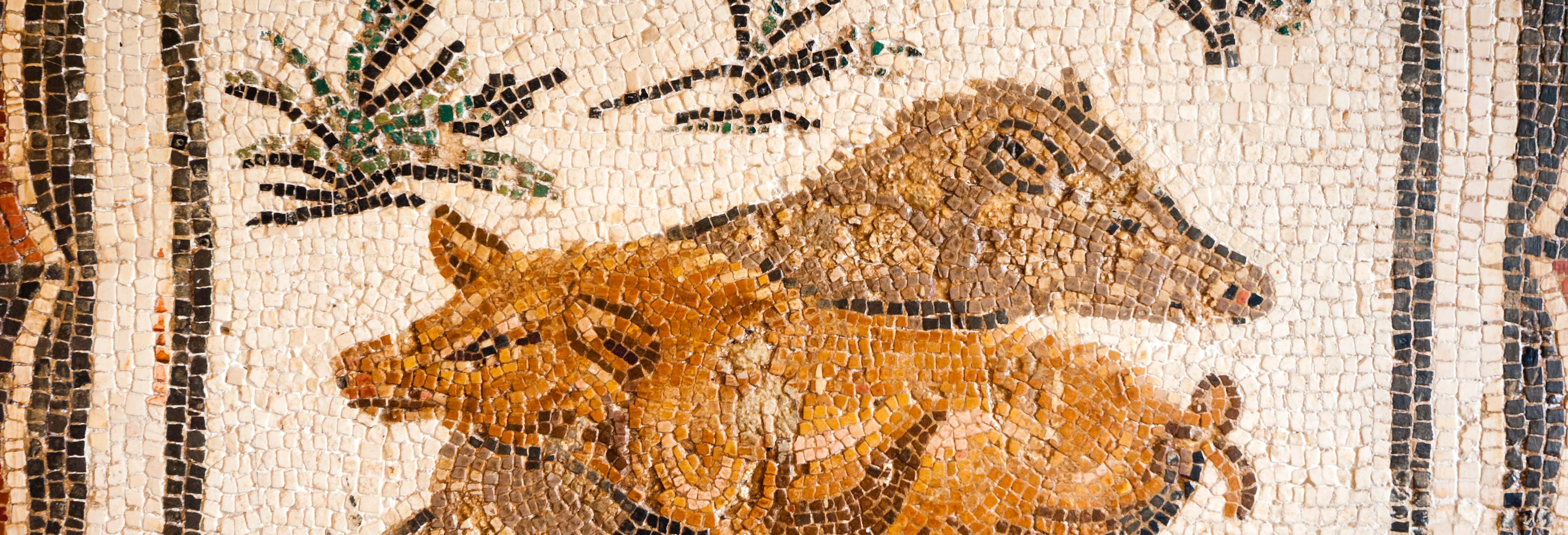 Guided tours and free tours in Tunis