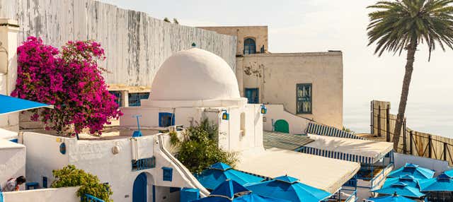 Visite de Tunis, Carthage et Sidi Bou Saïd