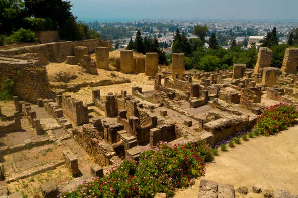 Tunis, Carthage + Sidi Bou Said for Cruise Ships