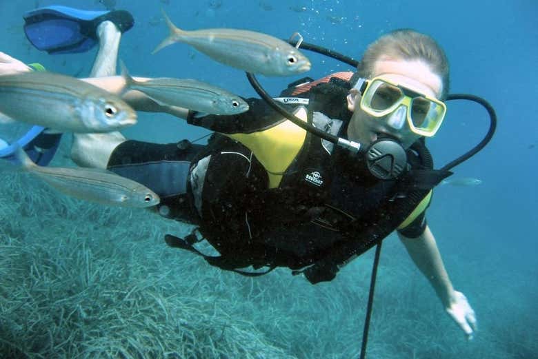 Plongée Alanya