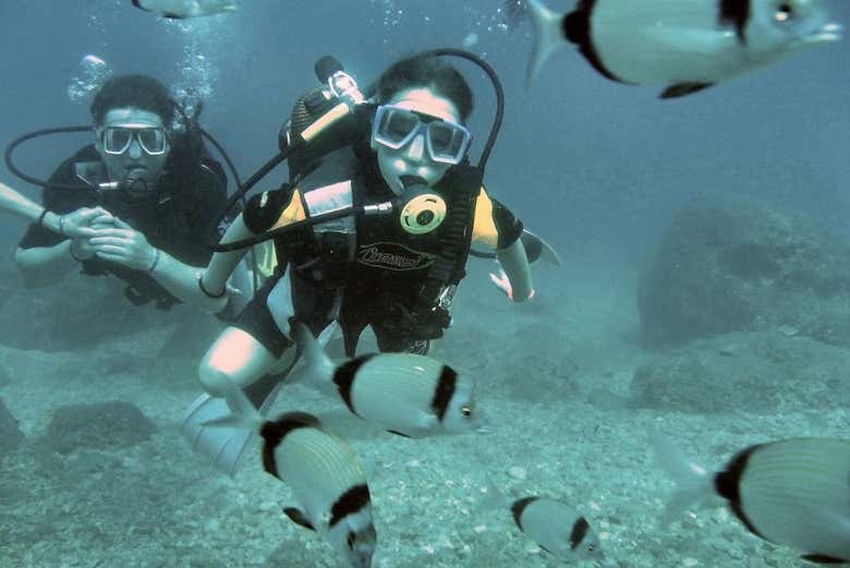 Nagez avec les poissons