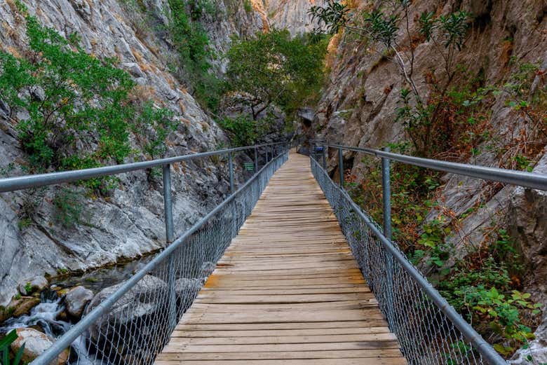 Uno de los puentes colgantes del cañón Sapadere