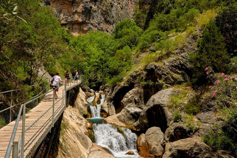 Será un recorrido increíble en plena naturaleza