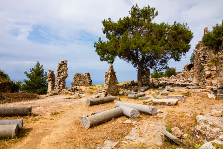 Syedra