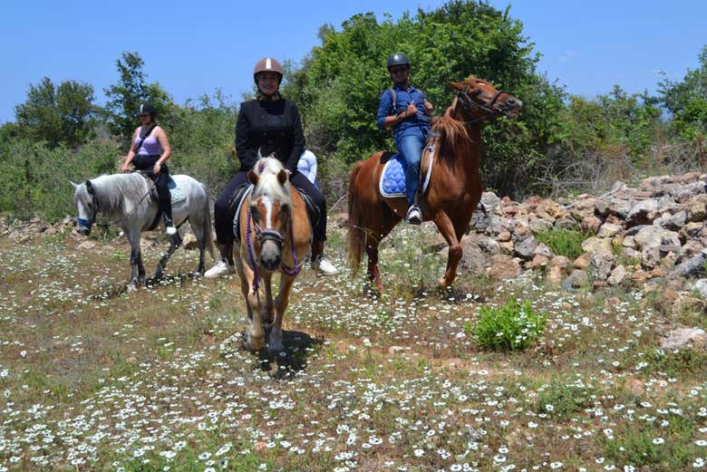 Groupe à cheval