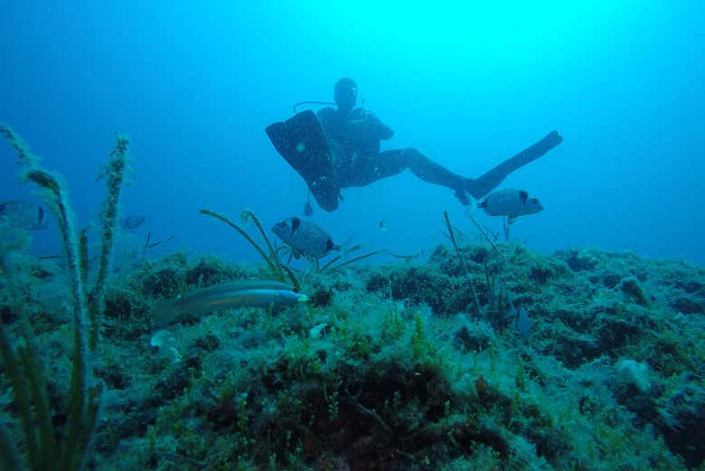Immersione nella baia di Kemer