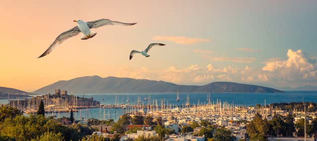 Crucero por la costa de Bodrum