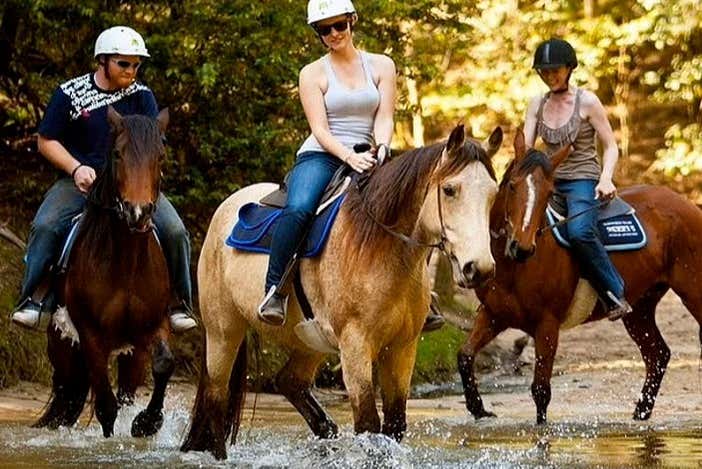Rota a cavalo pela península de Bodrum