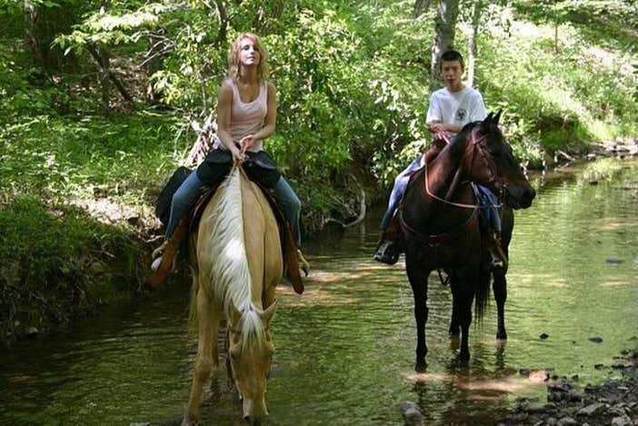 Prêts pour une balade à cheval à Bodrum ?