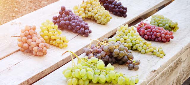 Cappadocia Wine Tasting Tour