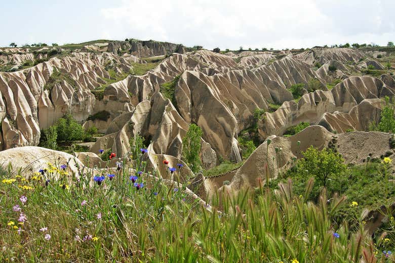 Panorâmica do vale de Güllüdere