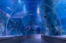 Emaar Aquarium & Underwater Zoo Tickets