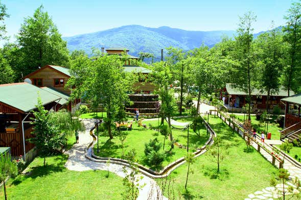 Sapanca Lake & Masukiye Tour