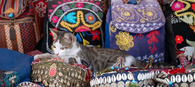 Alternative Istanbul Free Tour