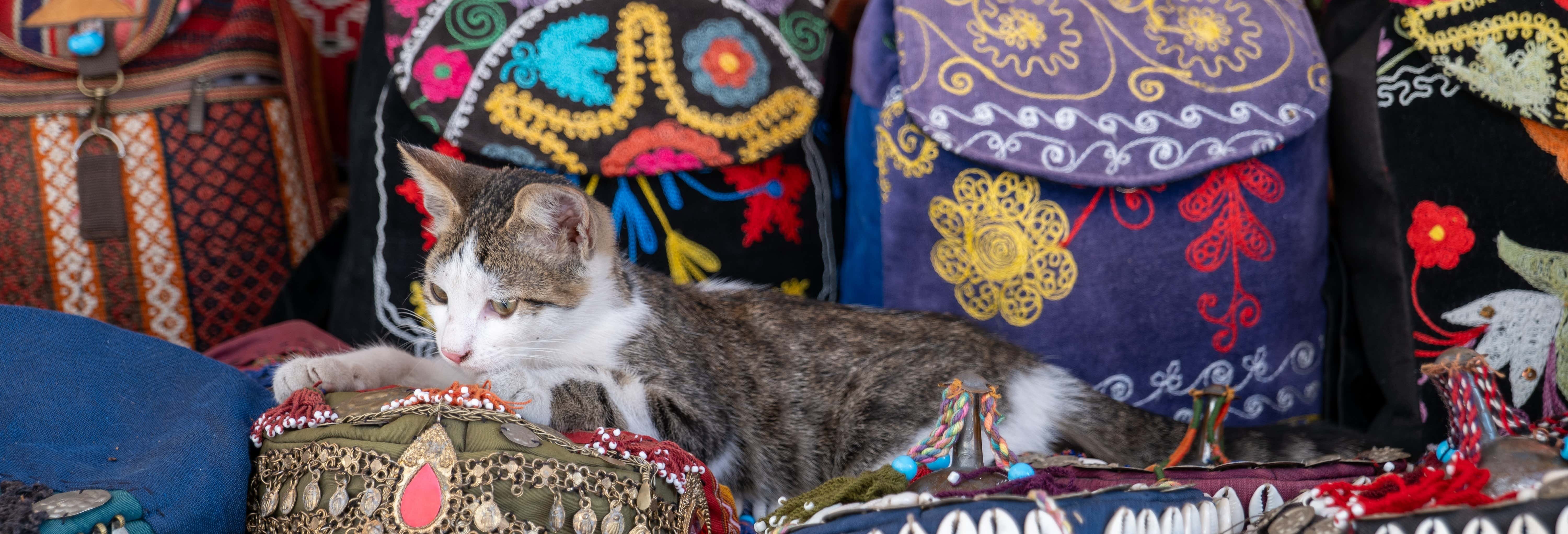 Free Tour en Estambul