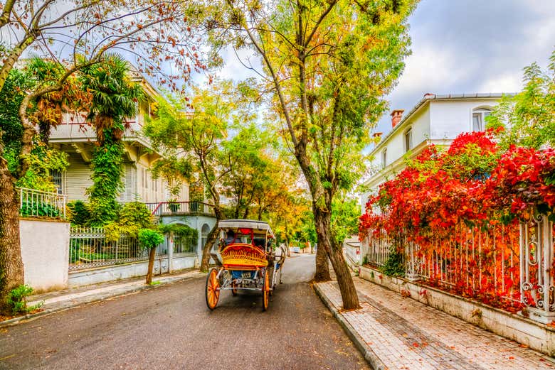 Típica rua em Buyukada