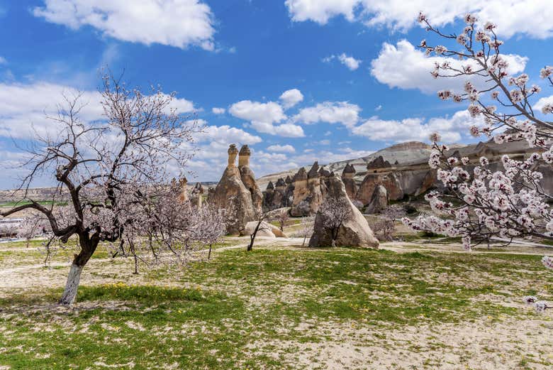 Valle Pasabagi