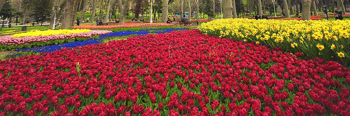 Gülhane Park