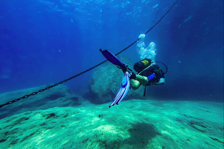 Explorez les fonds marins