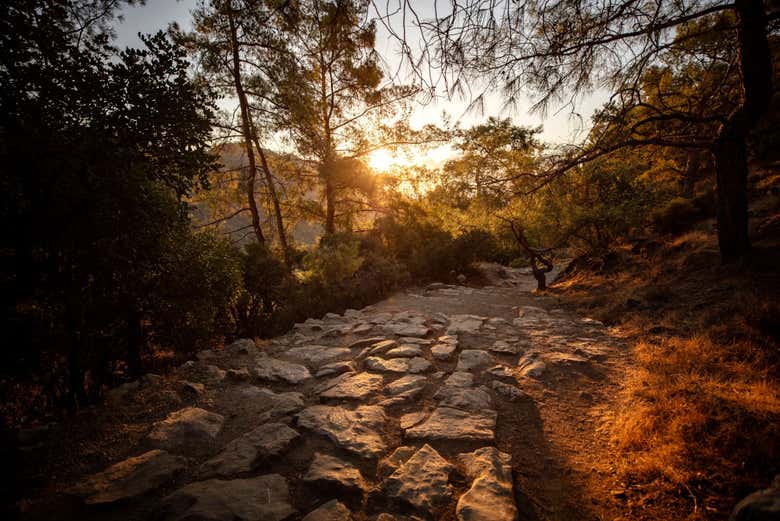 Chemin de pierres