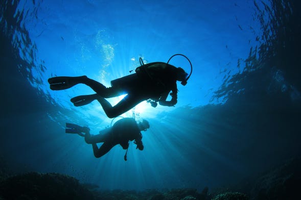 A moment that changed me: a scuba dive gone horribly wrong taught me the  dangers of complacency, Psychology