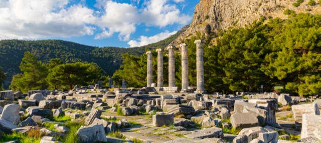 Priene, Miletus & Didyma Day Trip