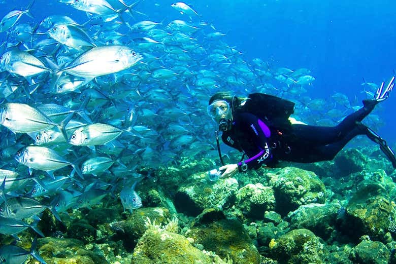 Fondo marino de Kusadasi