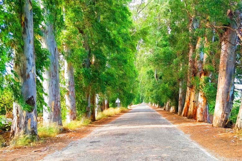 Conhecendo a Estrada dos Apaixonados