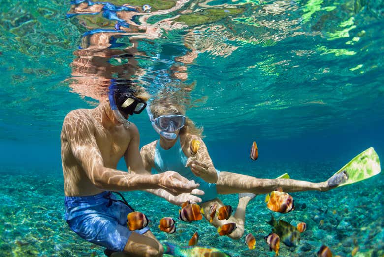 Praticando snorkel
