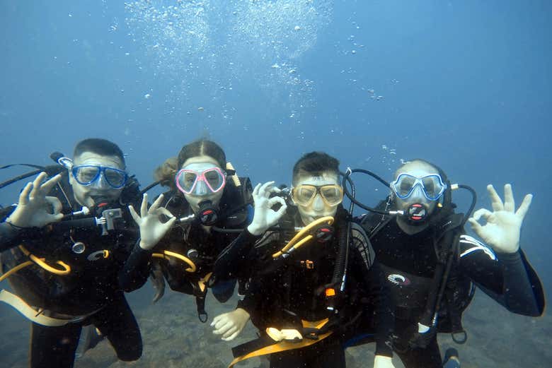Quatro amigos desfrutando da experiência de mergulho