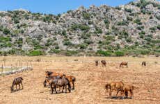 Paseo a caballo por Marmaris