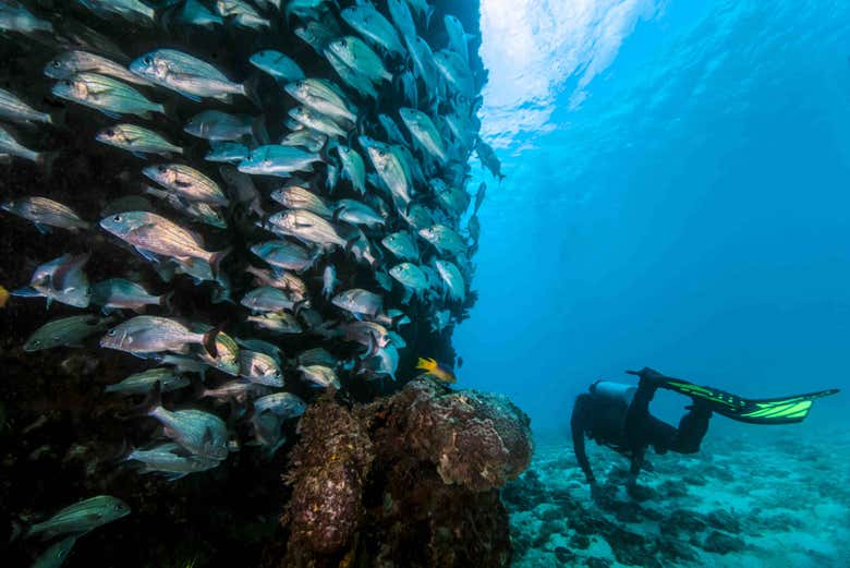 Immersione subacquea a Ölüdeniz