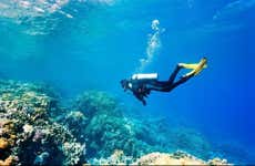 Buceo en Side