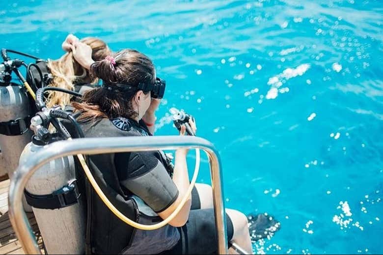 Ready to dive