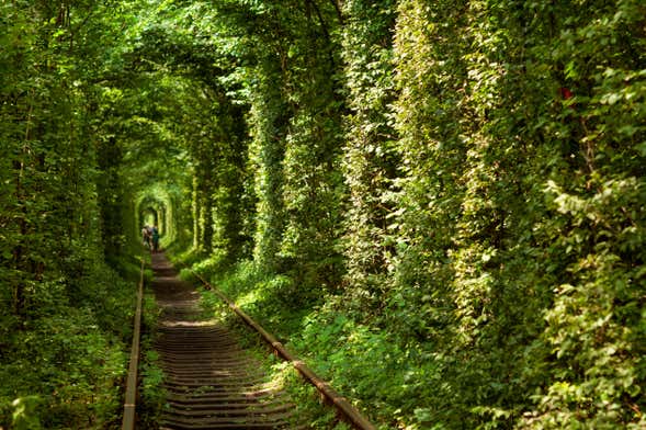 Excursión privada al Túnel del Amor