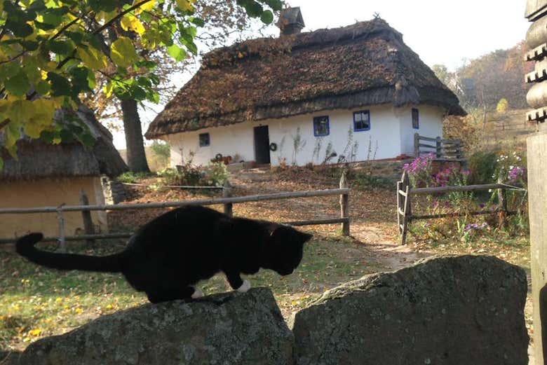 Cabanas tradicionais em Pirogovo