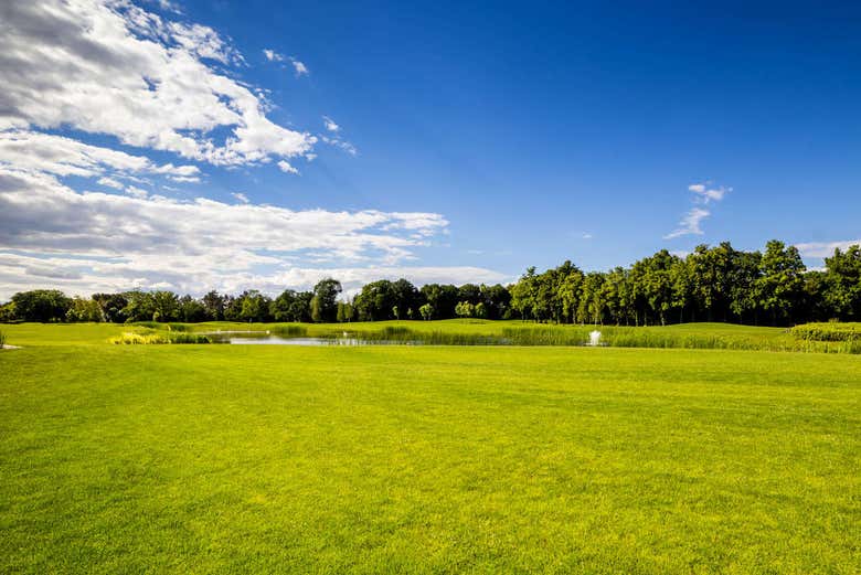 Campo de golf de Mezhyhirya