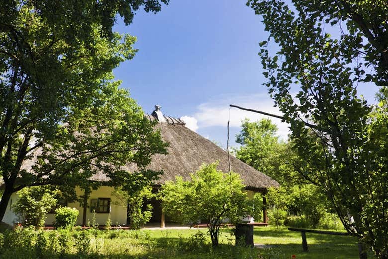 Vista de uma cabana entre a vegetação