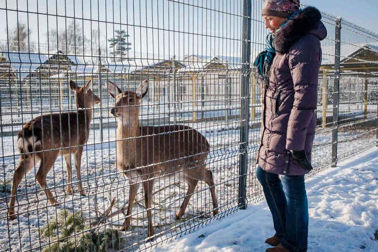 Zoo privado de Mezhyhirya