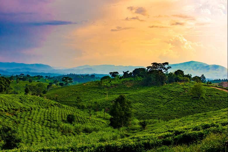 Tramonto sul Parco nazionale Queen Elizabeth