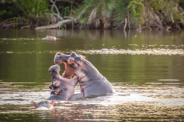 Lake Mburo National Park: 2 Day Safari