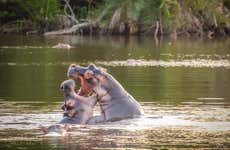 Safari di 2 giorni al Parco Nazionale del Lago Mburo