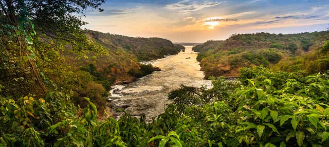 Safari de 3 días por las Cascadas Murchison